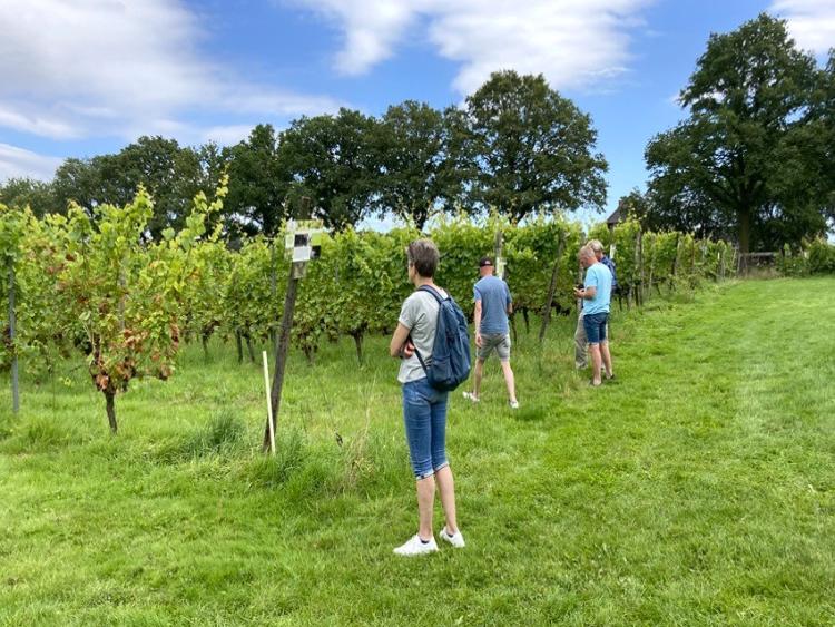 Singlereis Er even tussenuit Tussen Maas en Waal